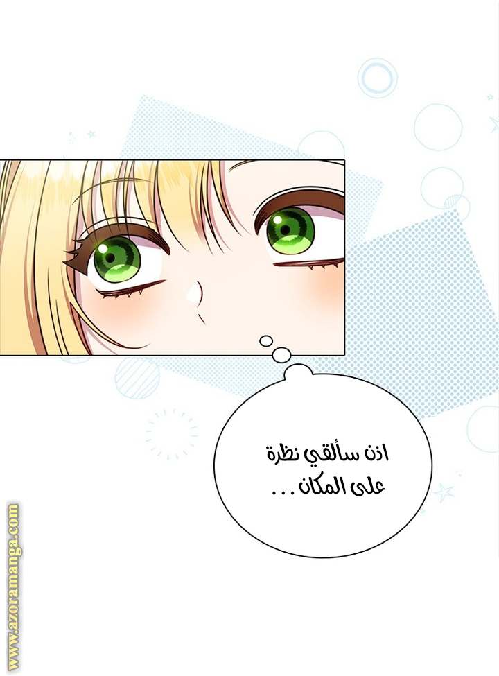 الصفحة 27