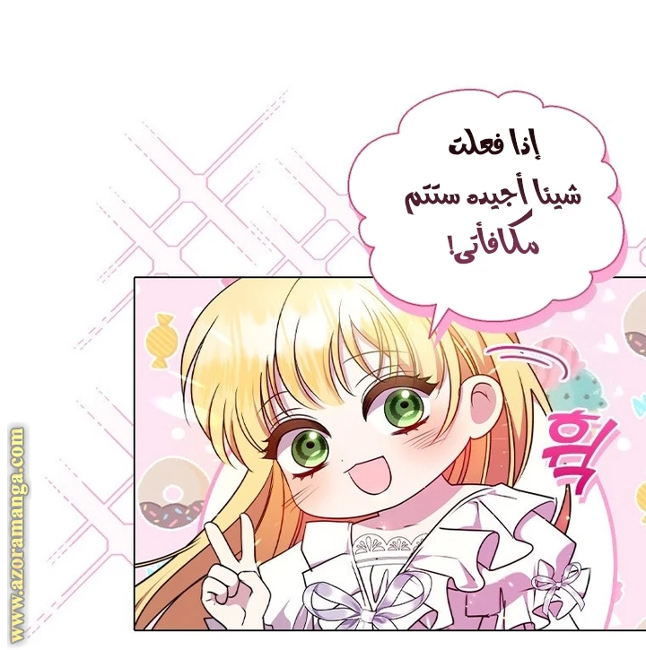 الصفحة 43