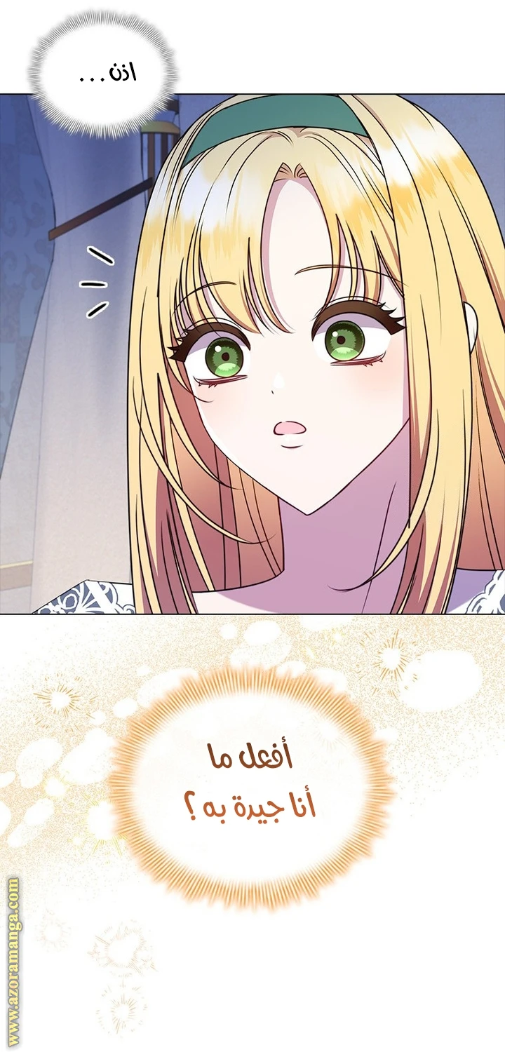 الصفحة 46