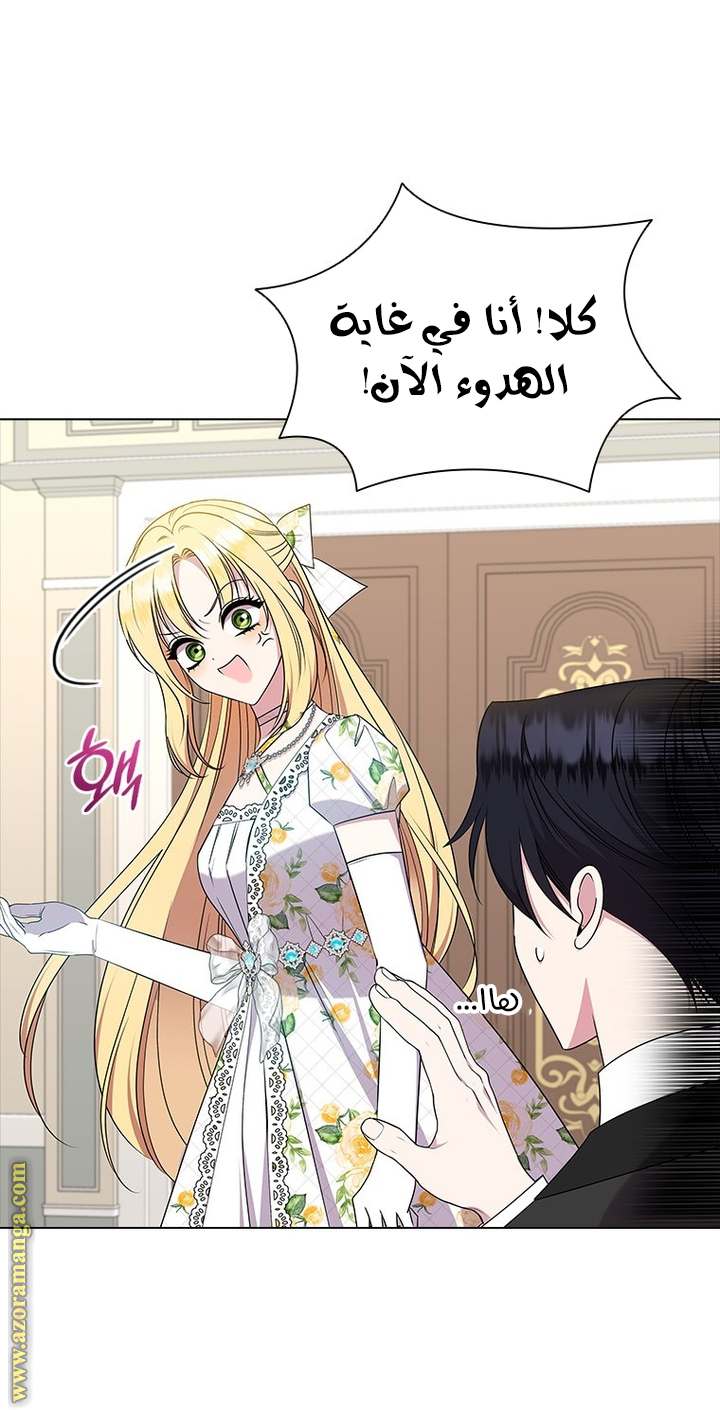 الصفحة 19