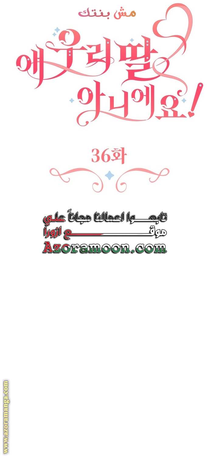 الصفحة 25