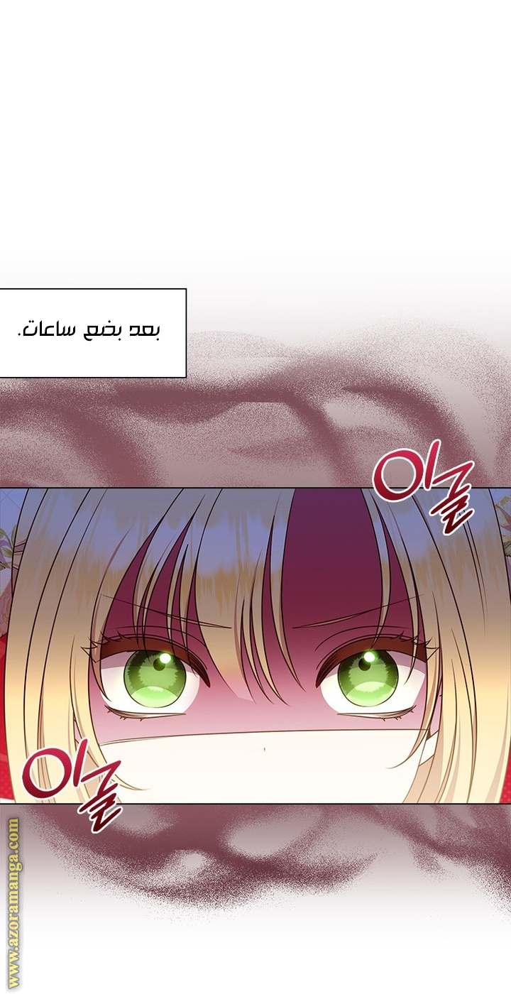 الصفحة 26