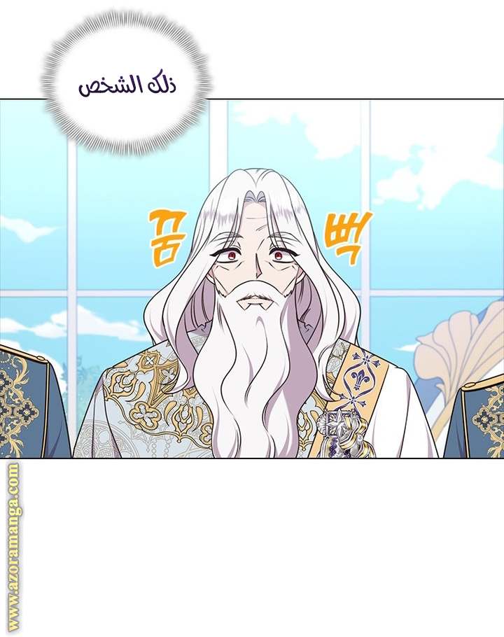 الصفحة 27