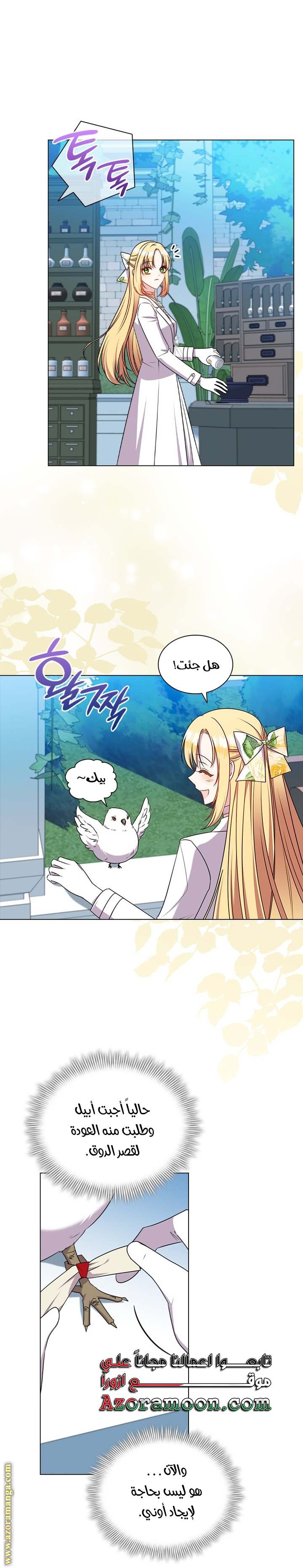 الصفحة 41