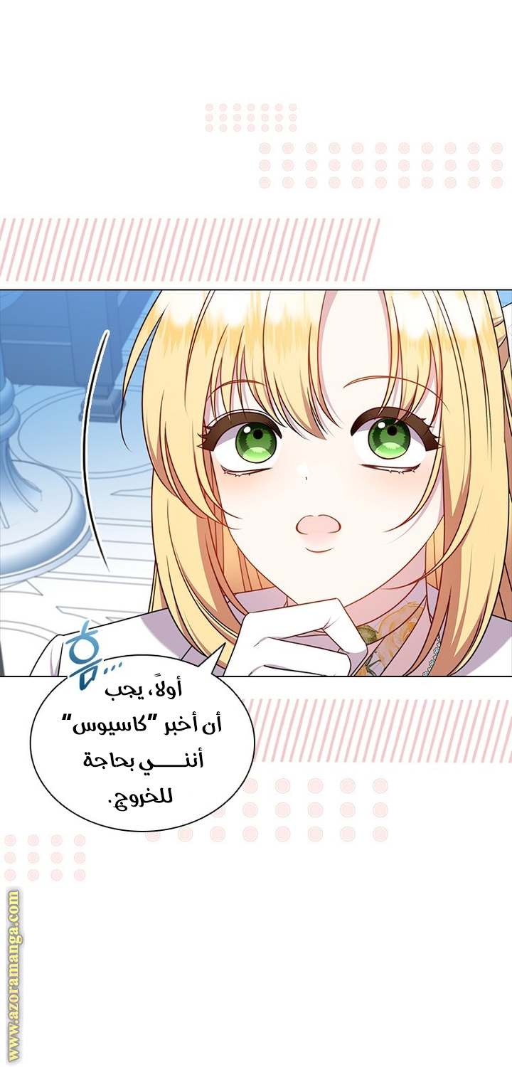 الصفحة 43