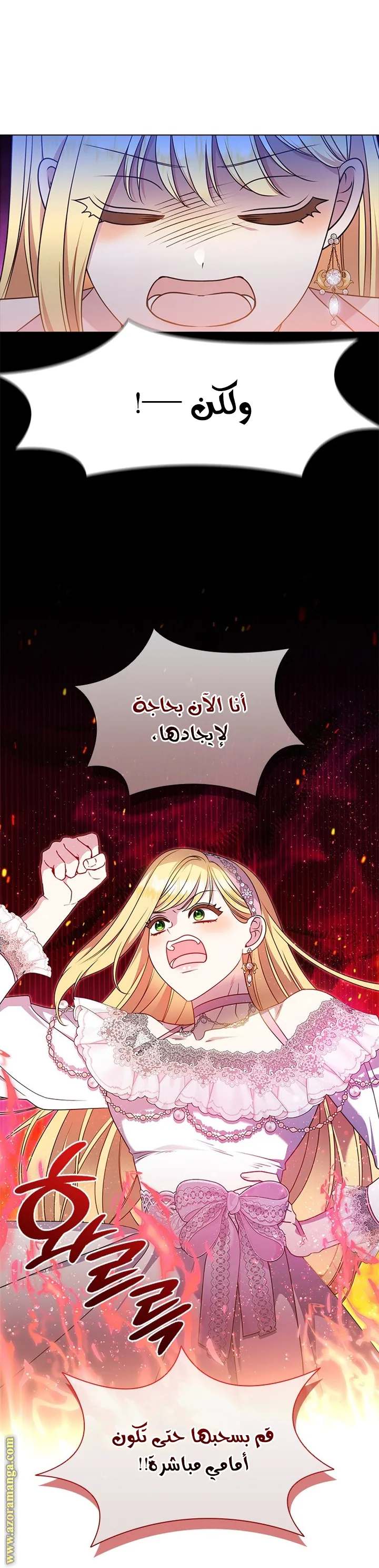 الصفحة 17