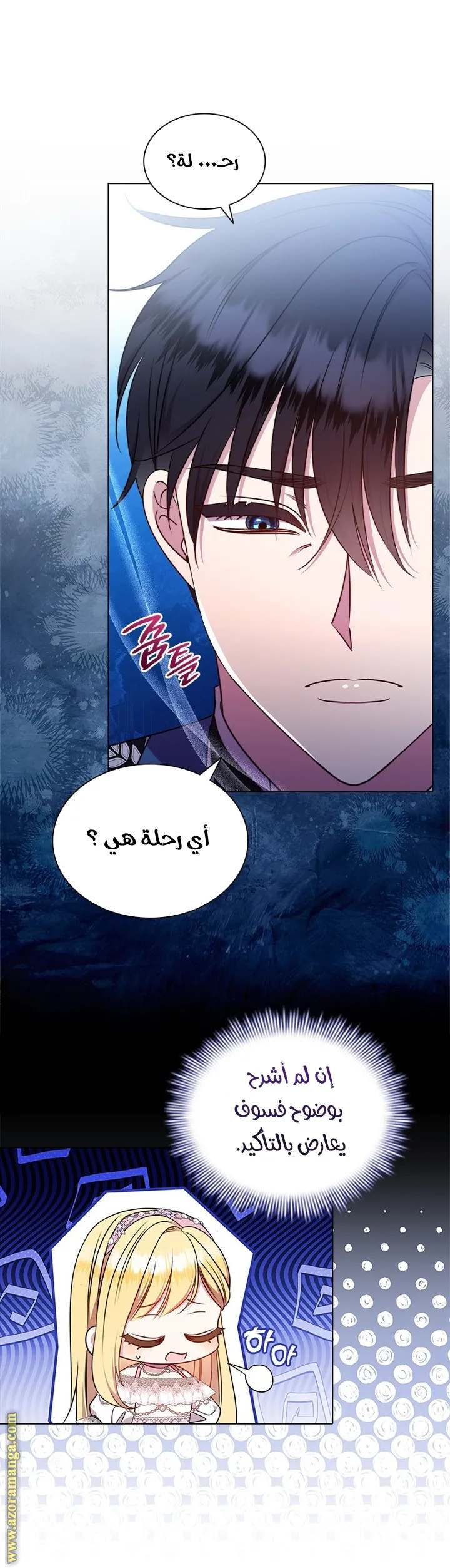 الصفحة 29