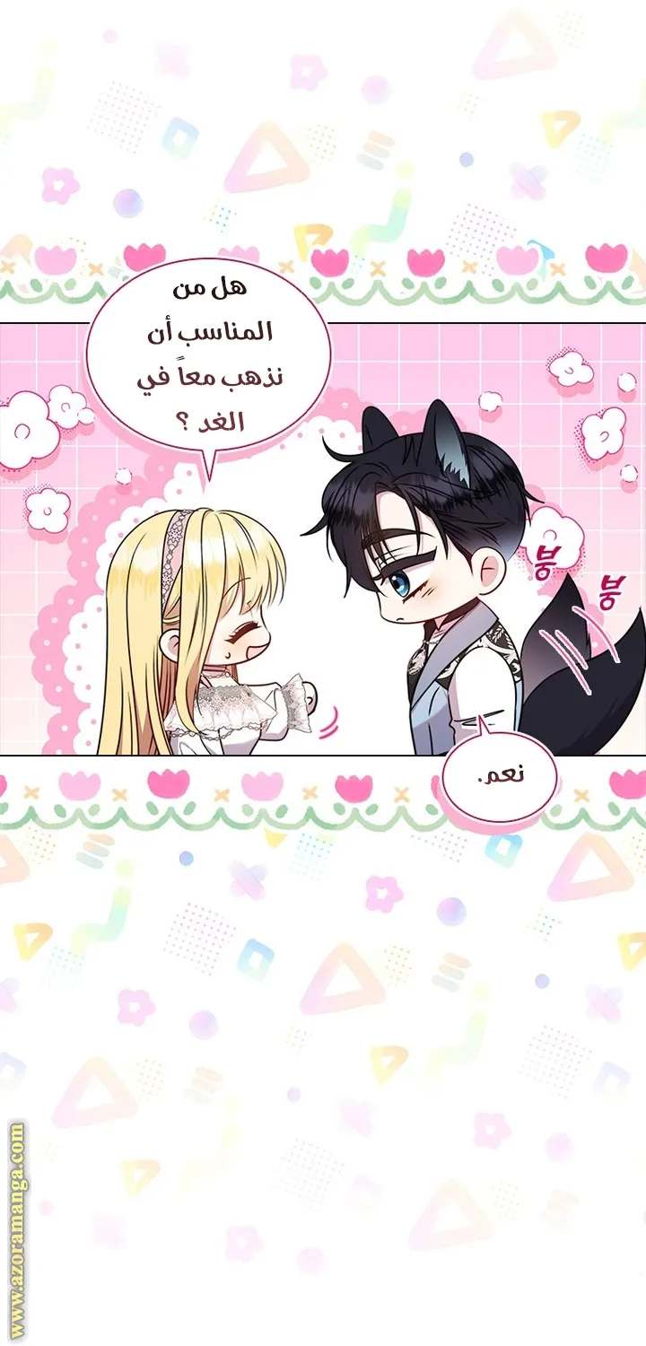 الصفحة 41