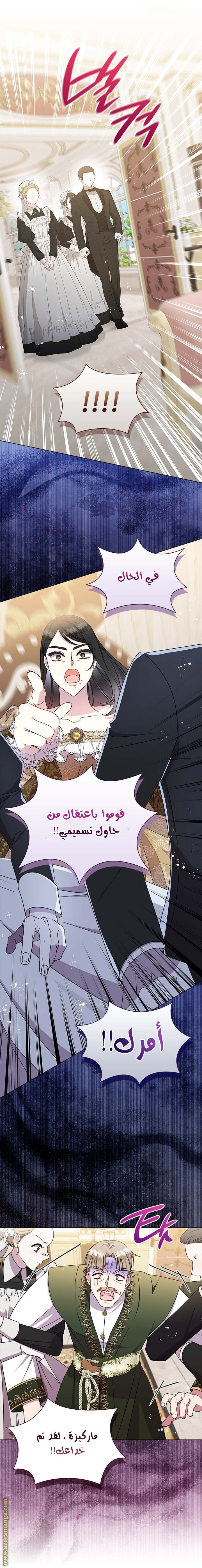 الصفحة 17