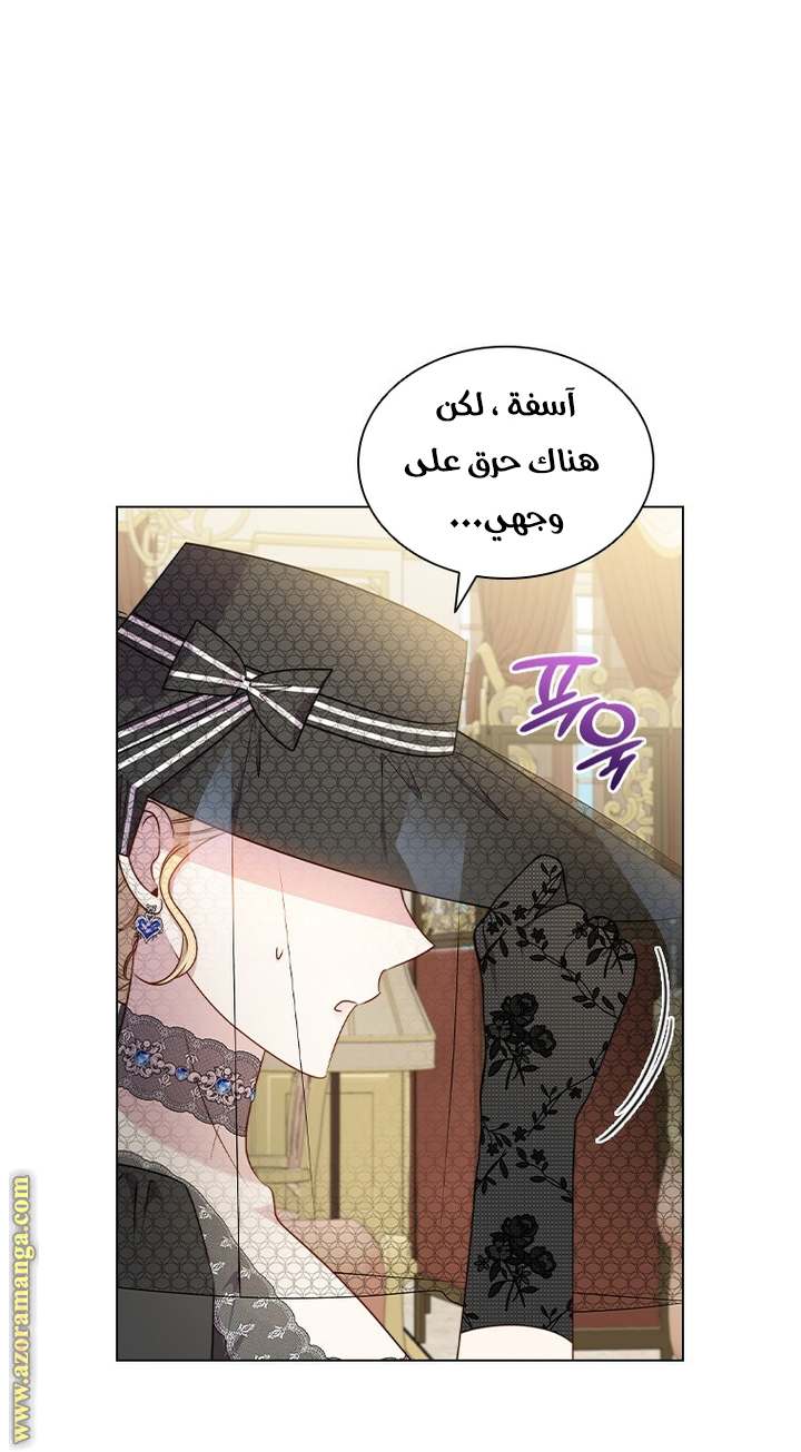 الصفحة 25