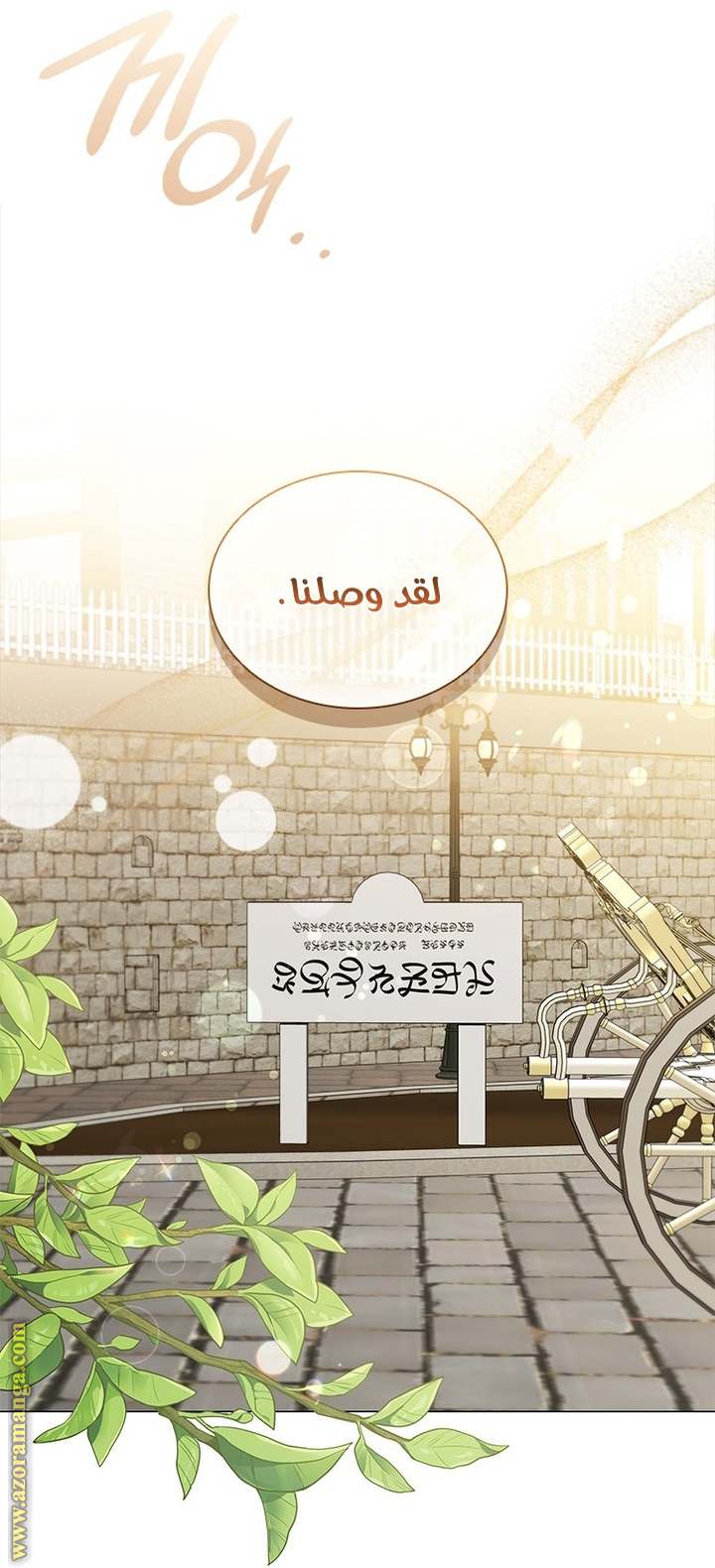 الصفحة 14
