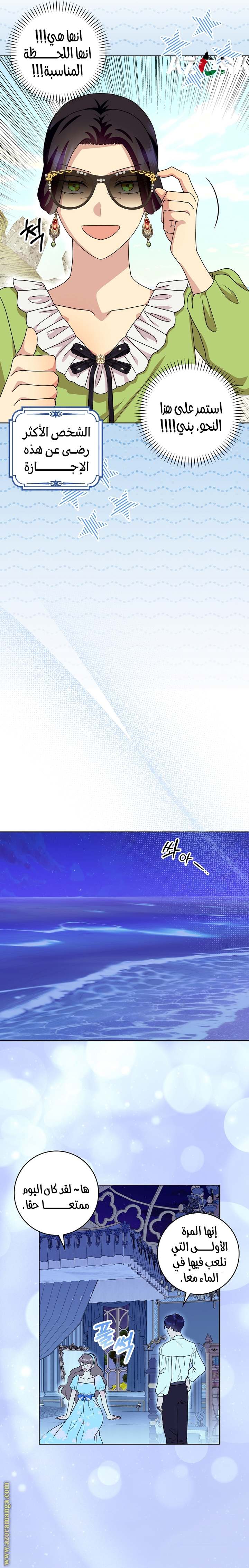 الصفحة 17