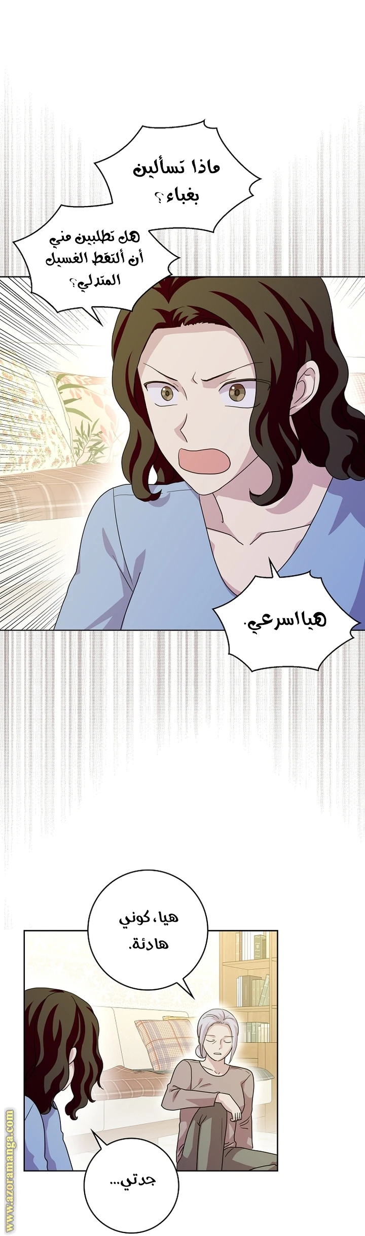 الصفحة 13