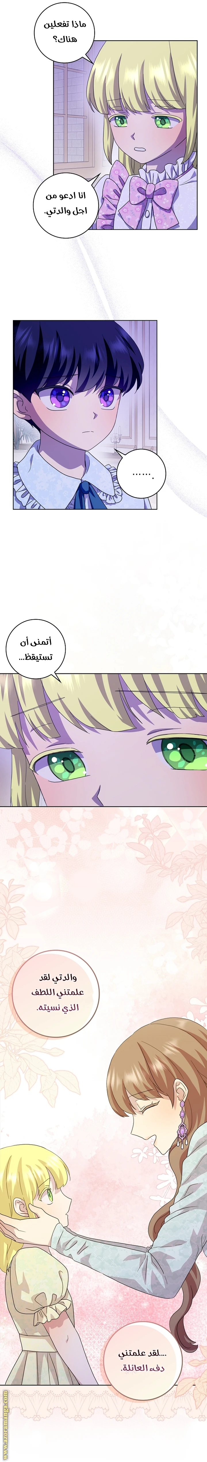 الصفحة 29