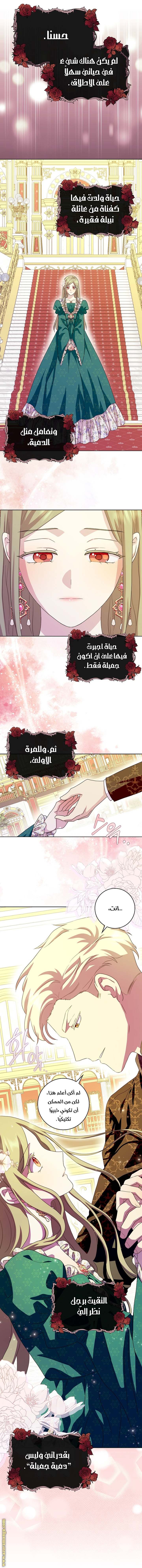 الصفحة 24