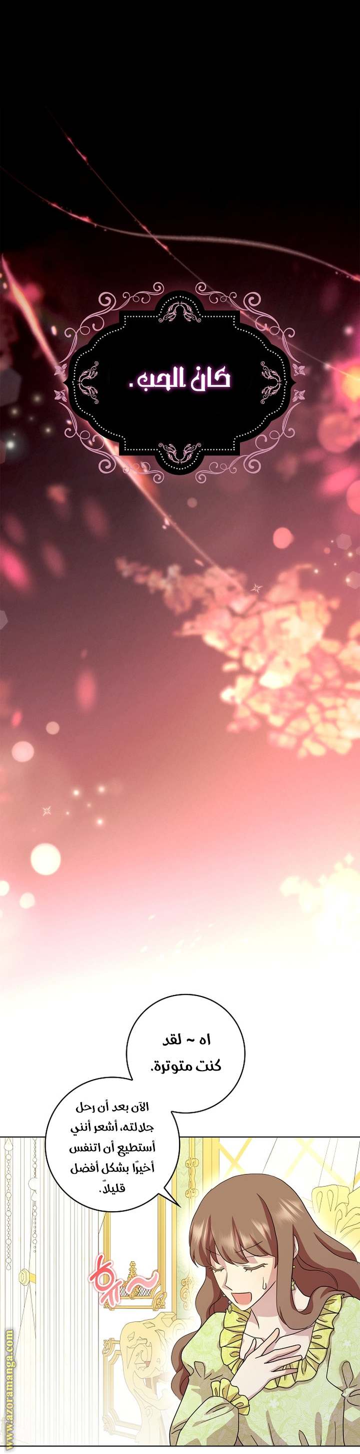 الصفحة 28
