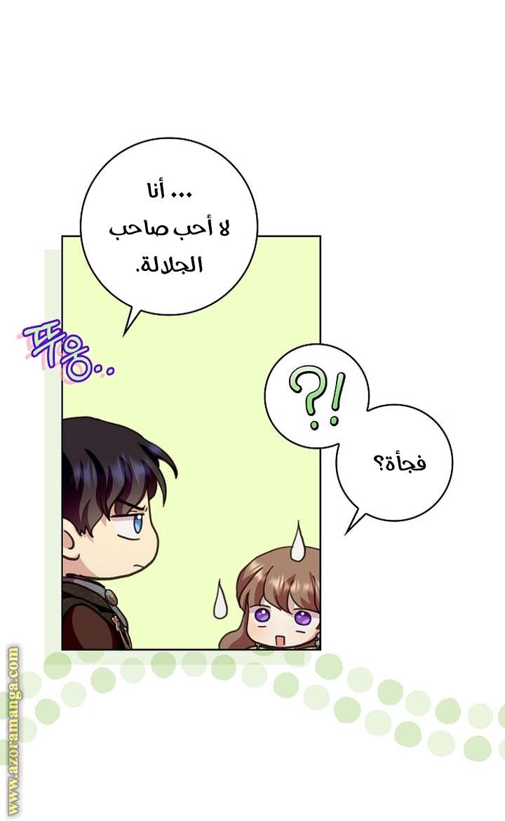 الصفحة 29
