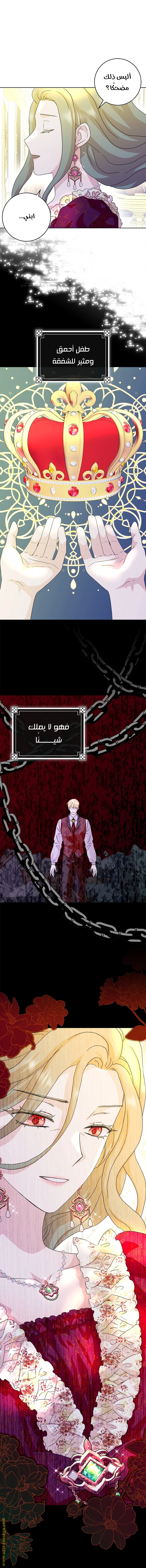 الصفحة 3