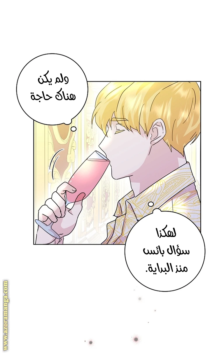 الصفحة 27