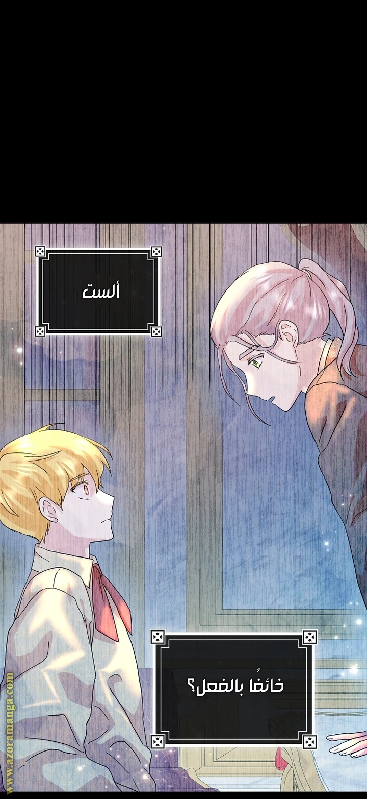الصفحة 41