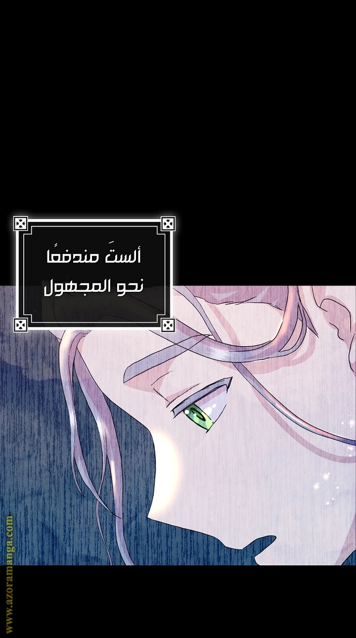 الصفحة 42