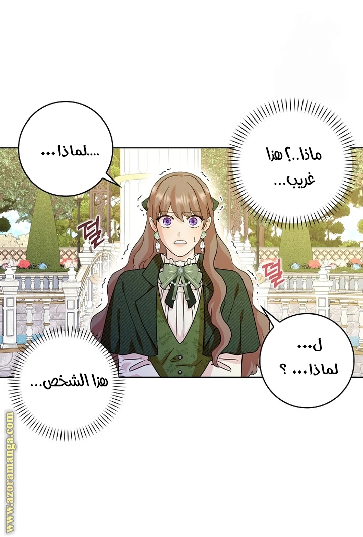 الصفحة 24