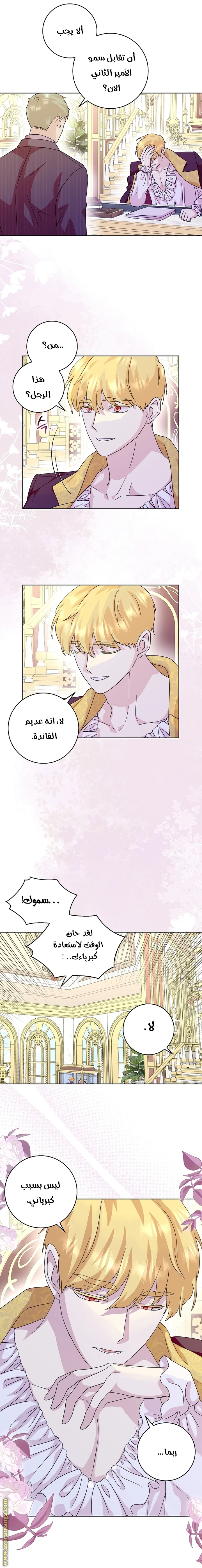 الصفحة 7