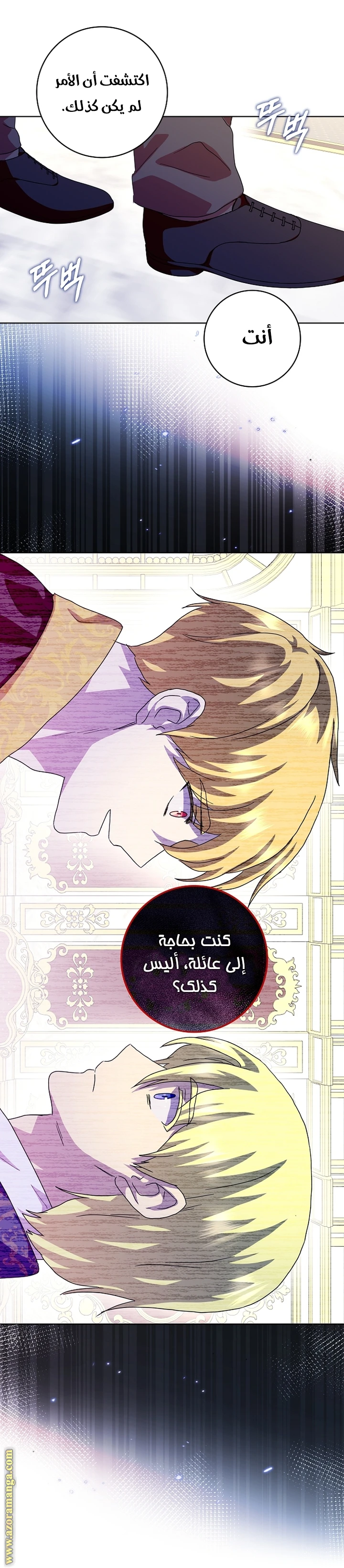 الصفحة 17