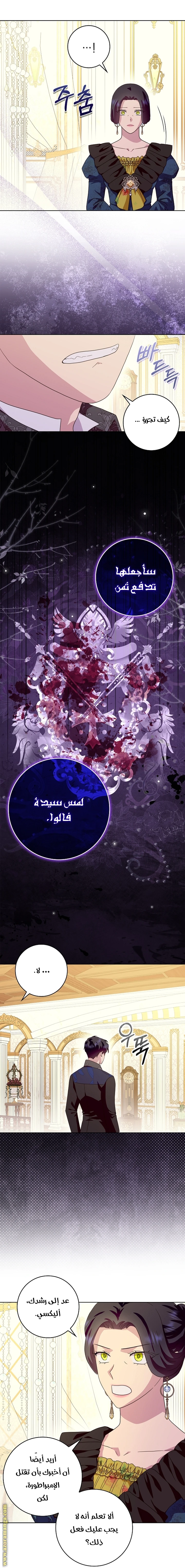 الصفحة 19