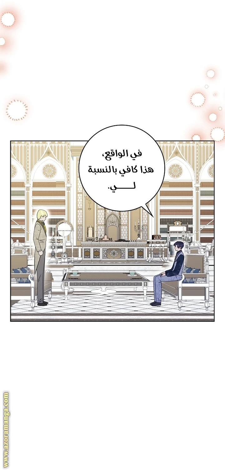 الصفحة 17
