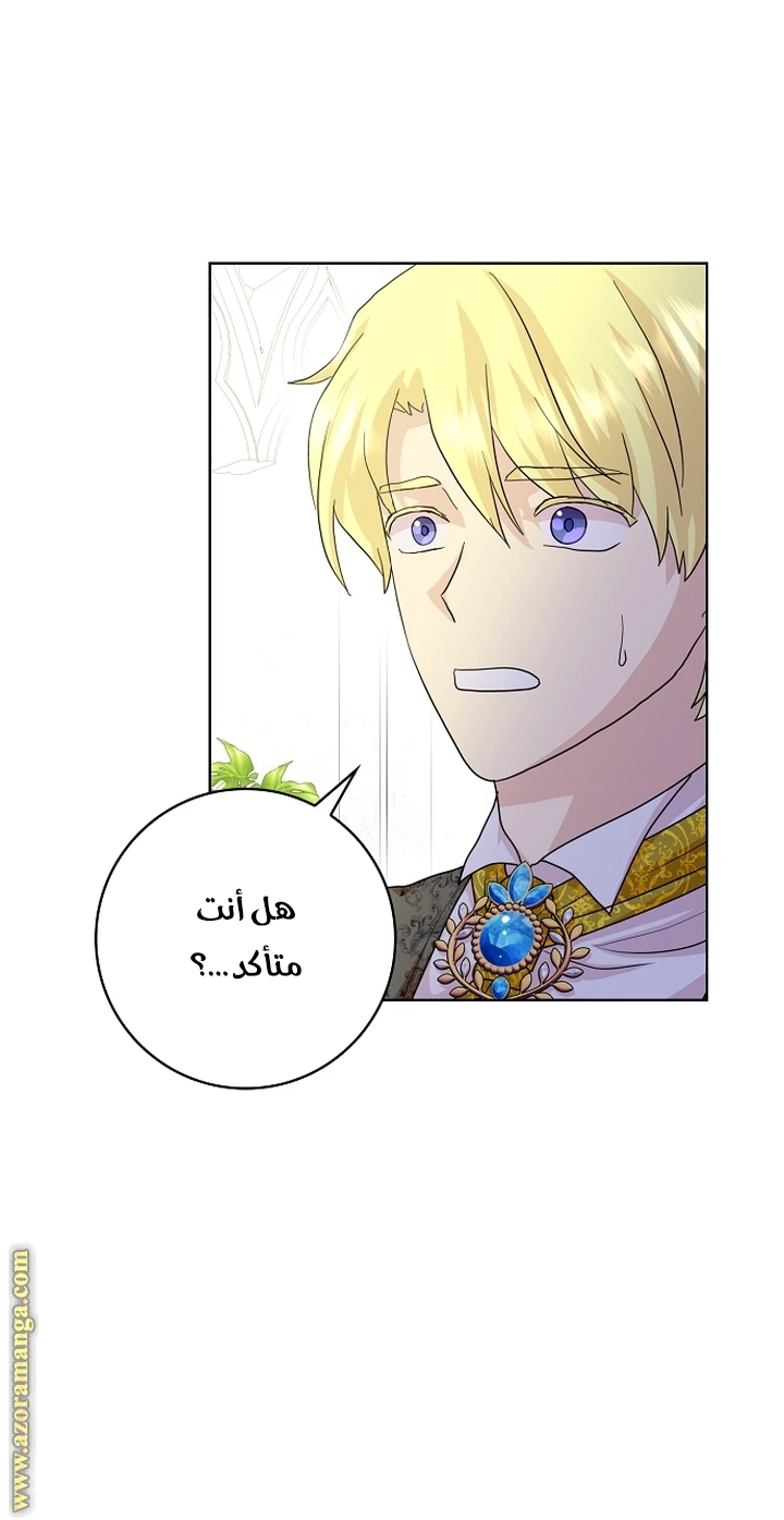 الصفحة 25