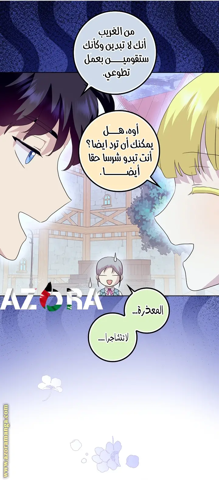الصفحة 17