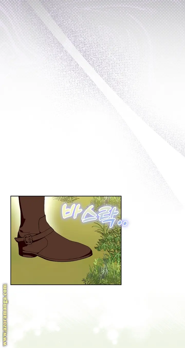 الصفحة 43