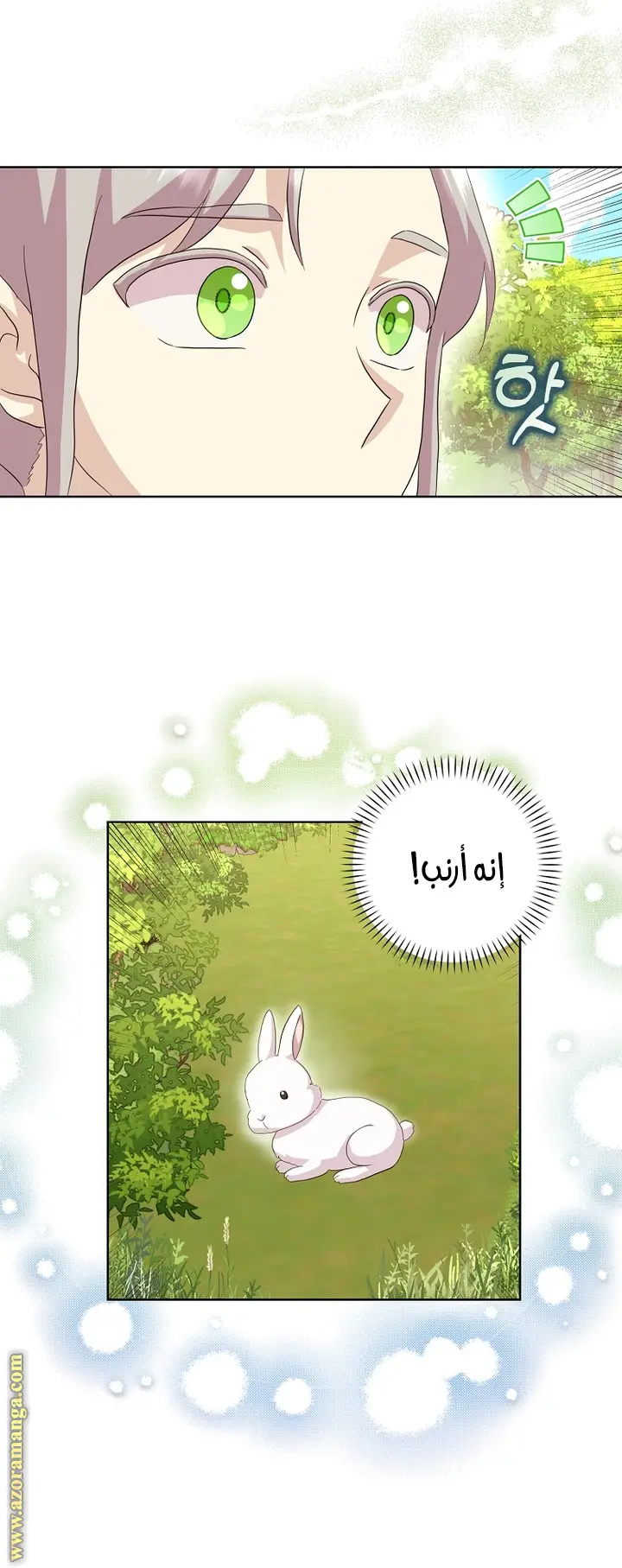 الصفحة 46