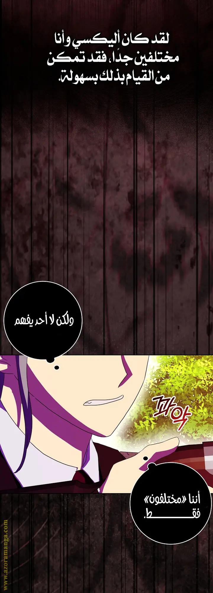الصفحة 52