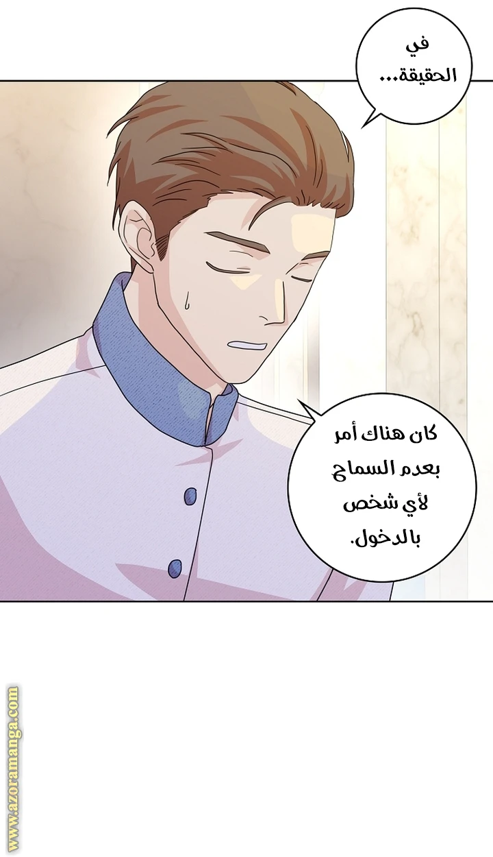 الصفحة 25