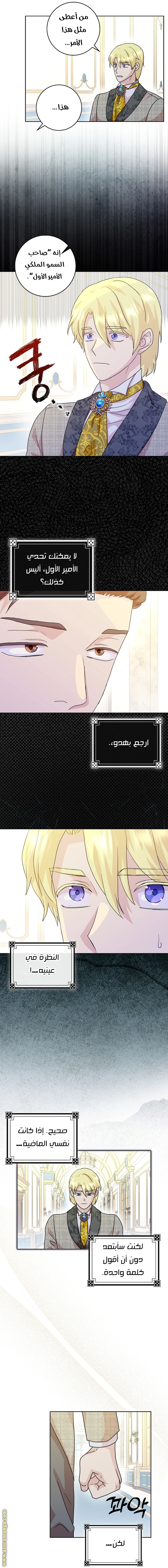الصفحة 26