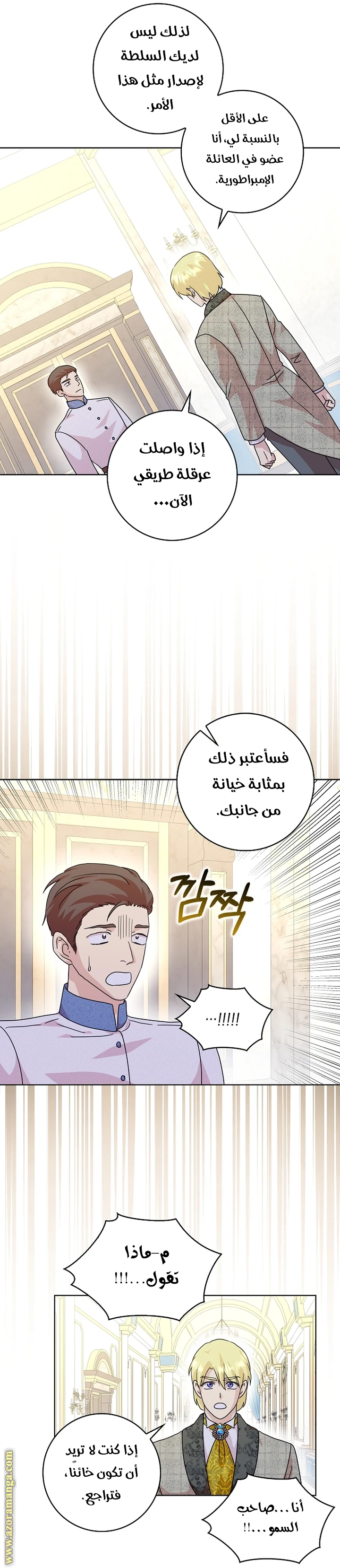 الصفحة 29