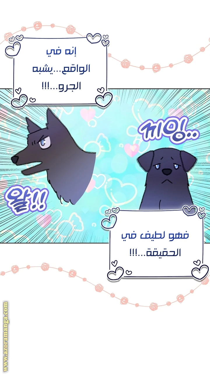 الصفحة 15