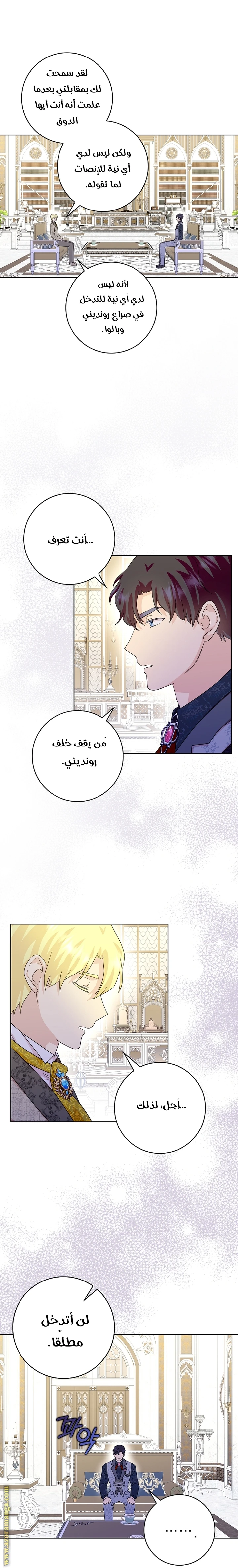 الصفحة 30