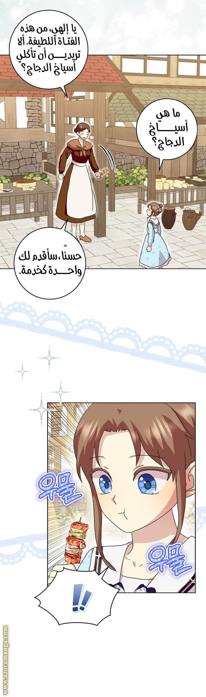 الصفحة 13