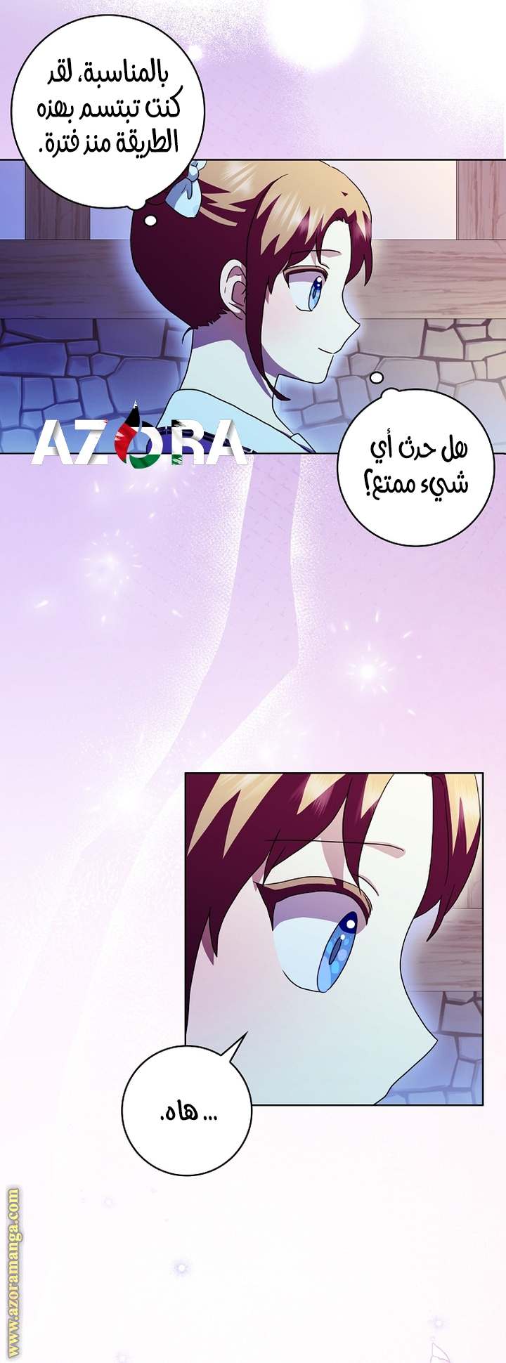 الصفحة 25