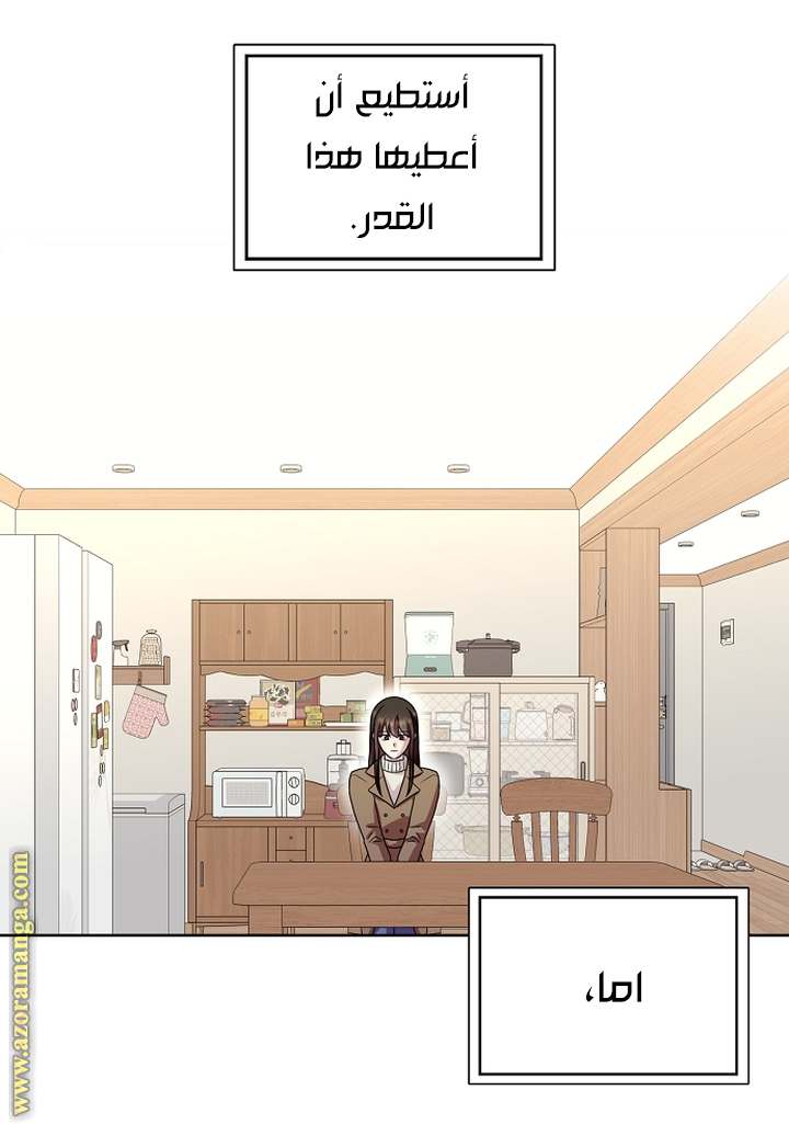 الصفحة 29