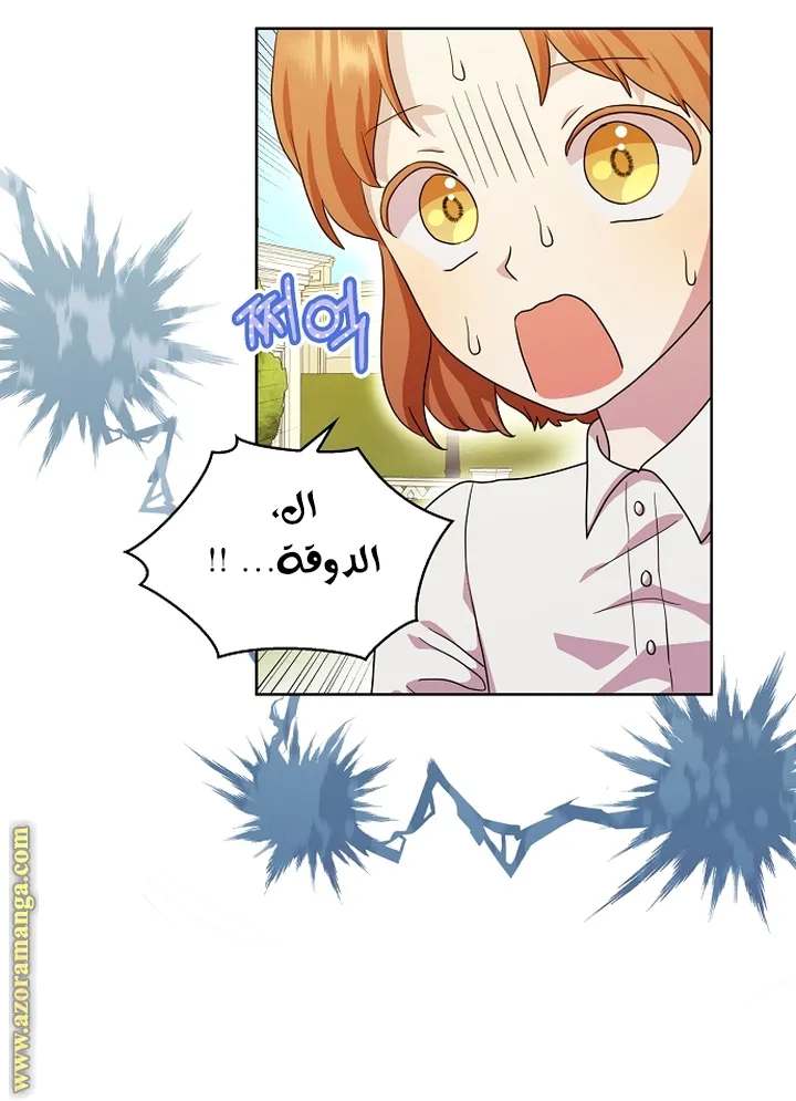 الصفحة 27