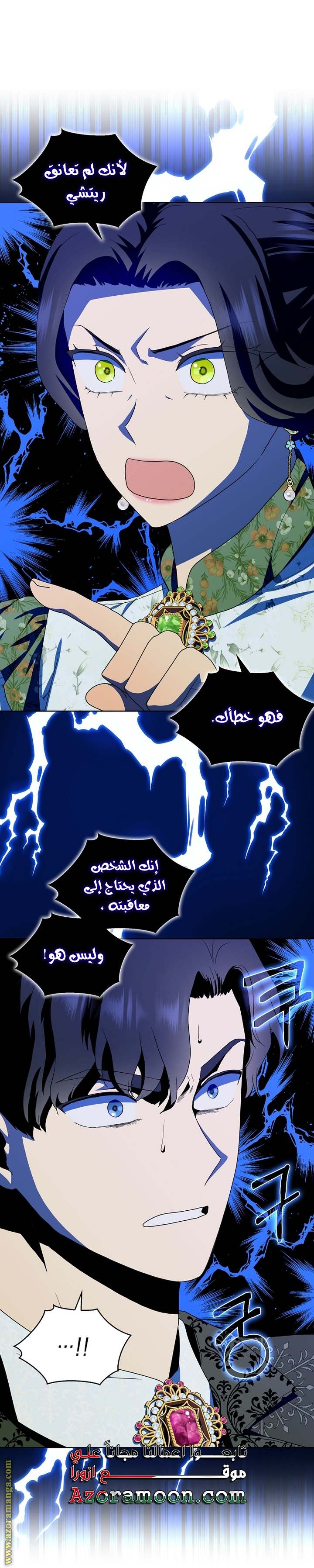 الصفحة 17