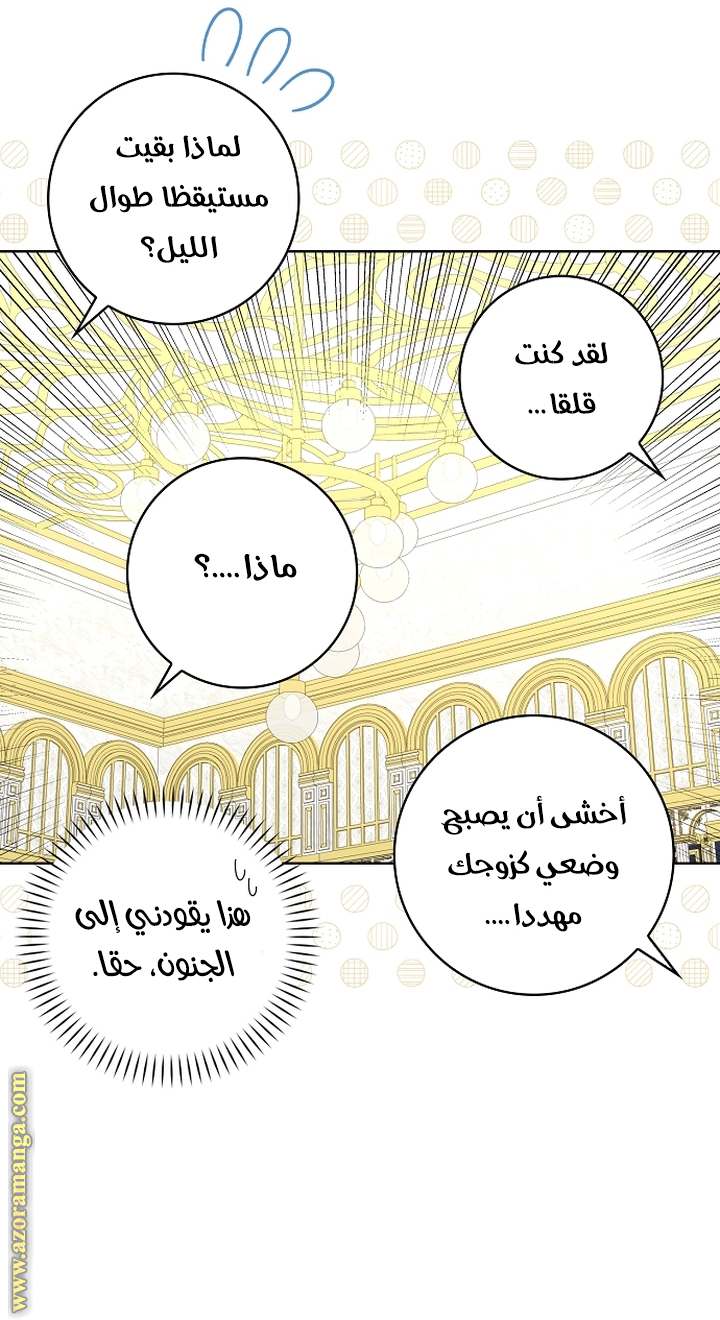 الصفحة 30