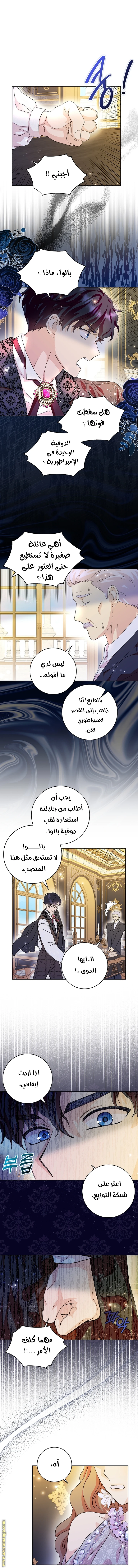 الصفحة 21