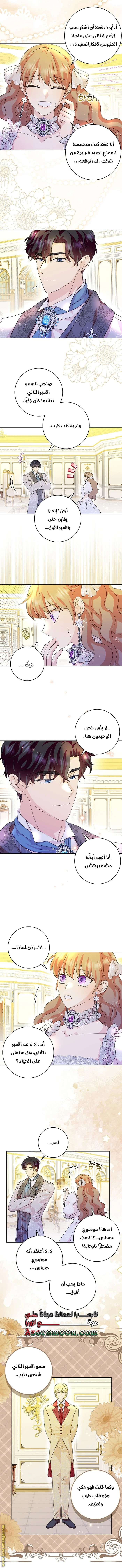 الصفحة 6