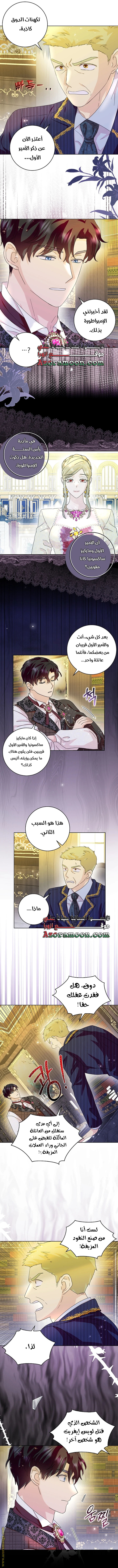الصفحة 21