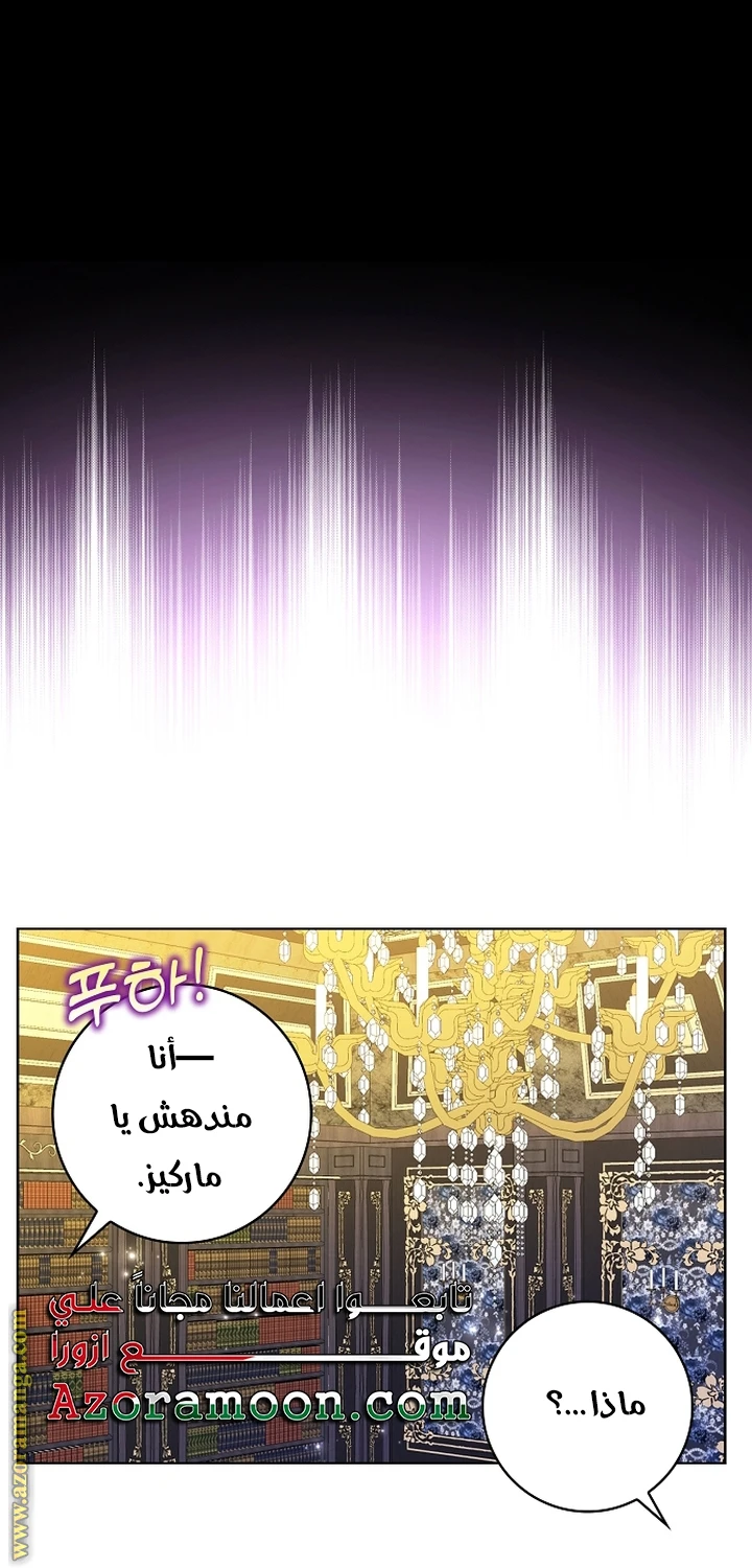 الصفحة 22